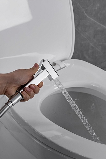 Allen Brau Смеситель с гигиеническим душем Infinity 5.21005-00 (с внутренней частью) хром – картинка-9